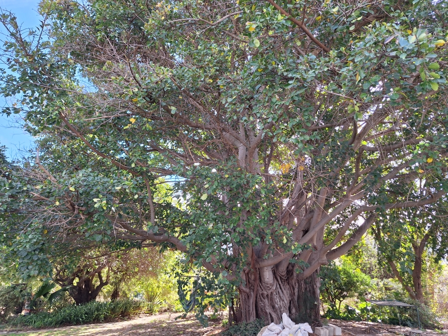 4 Bedroom Property for Sale in Barrydale Western Cape